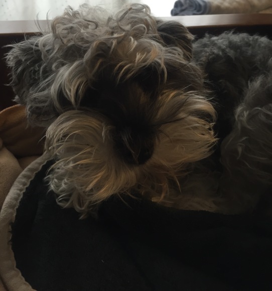 b0188998_22365341.jpeg
