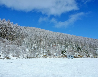 e0077899_932547.jpg
