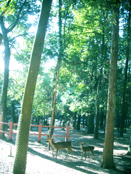 d0077603_11473971.jpg