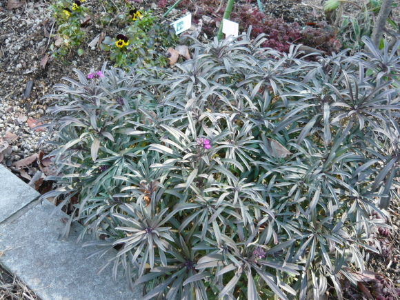 a0139007_16502931.jpg