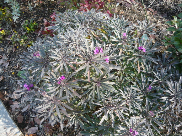 a0139007_16524405.jpg