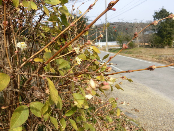 a0139007_22213968.jpg
