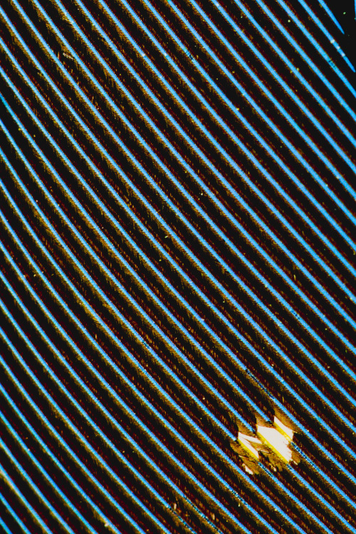 d0265224_21120963.jpg