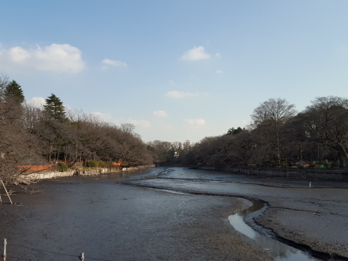 e0016828_11594422.jpg