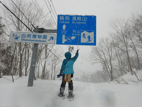 f0118332_22365945.jpg