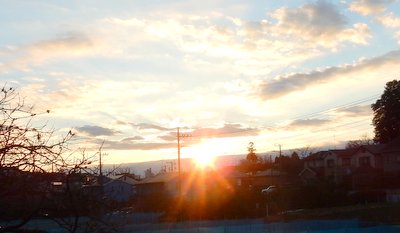 a0142343_11555025.jpg