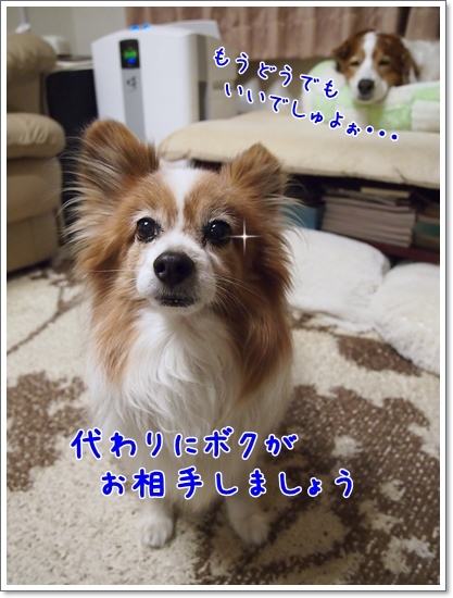 d0013149_00412154.jpg