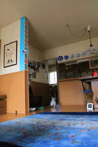 c0145250_10144197.gif