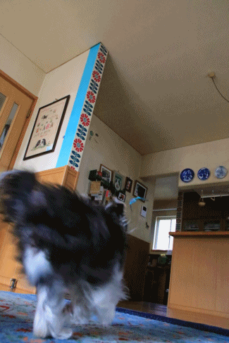 c0145250_10145123.gif