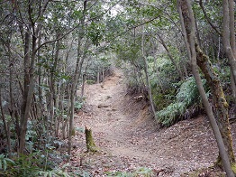 e0175370_10503433.jpg