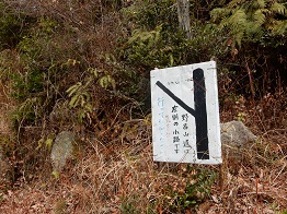 e0175370_1051392.jpg