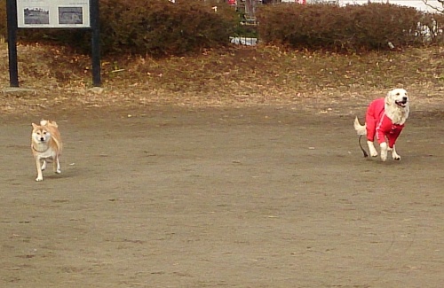 b0136381_13112097.jpg
