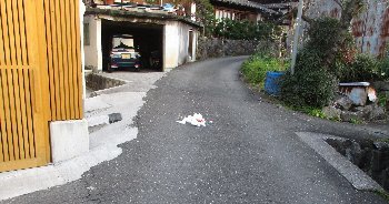 f0003283_06062005.jpg