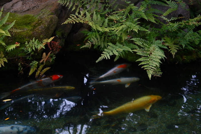 f0083400_01335593.jpg