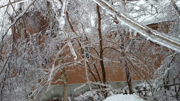 c0301809_22360115.jpg
