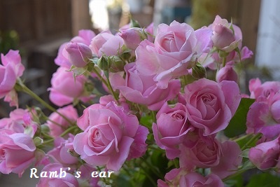 e0128909_7571925.jpg