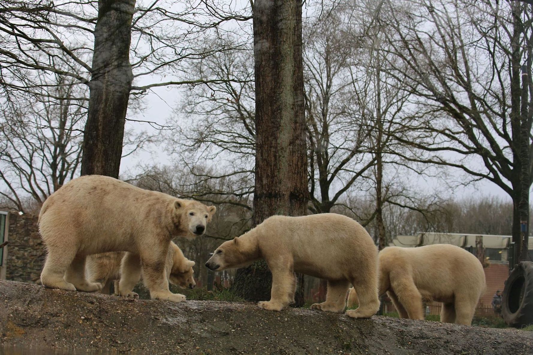e0163618_21324740.jpg