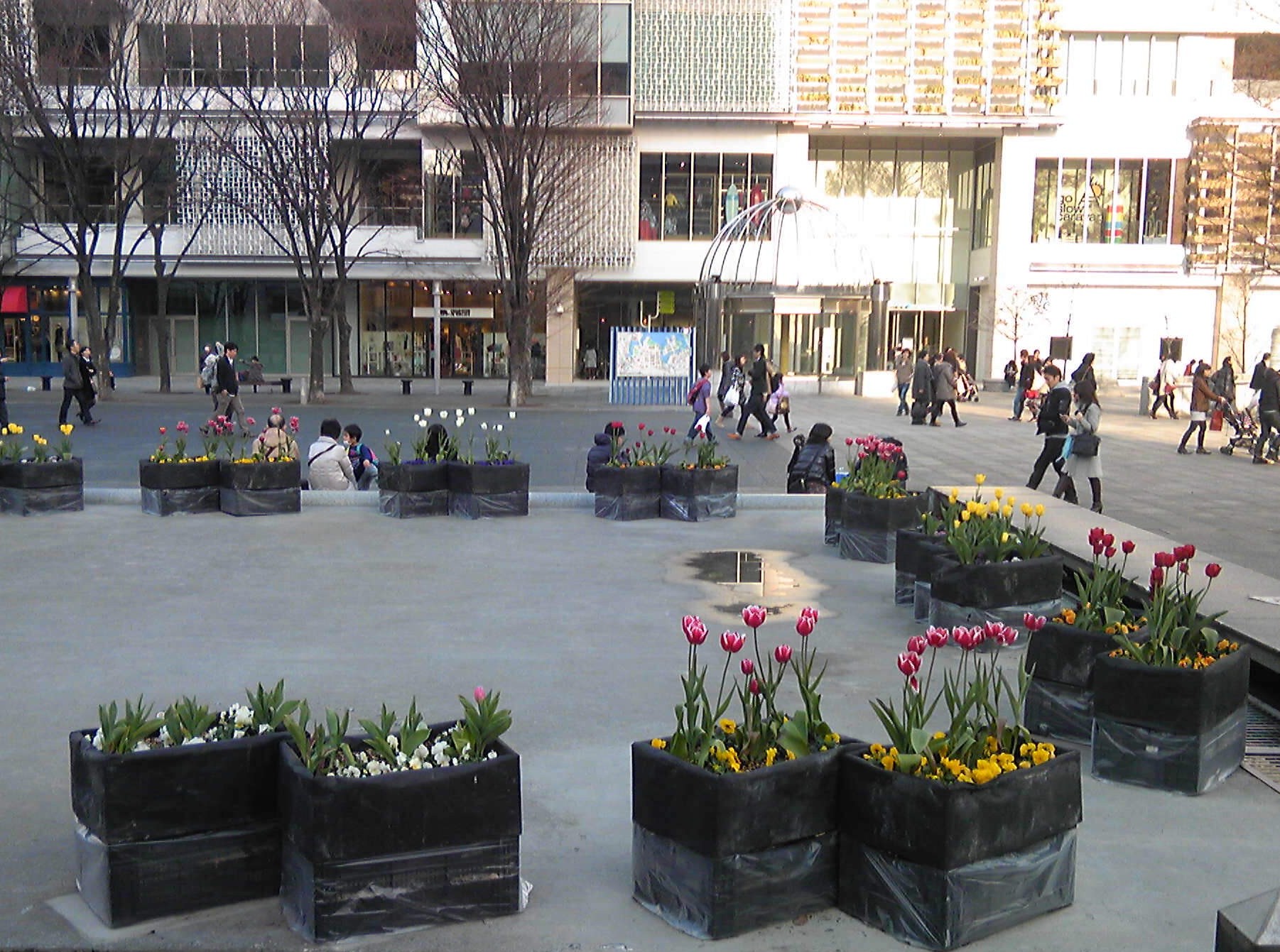 b0285619_23242443.jpg