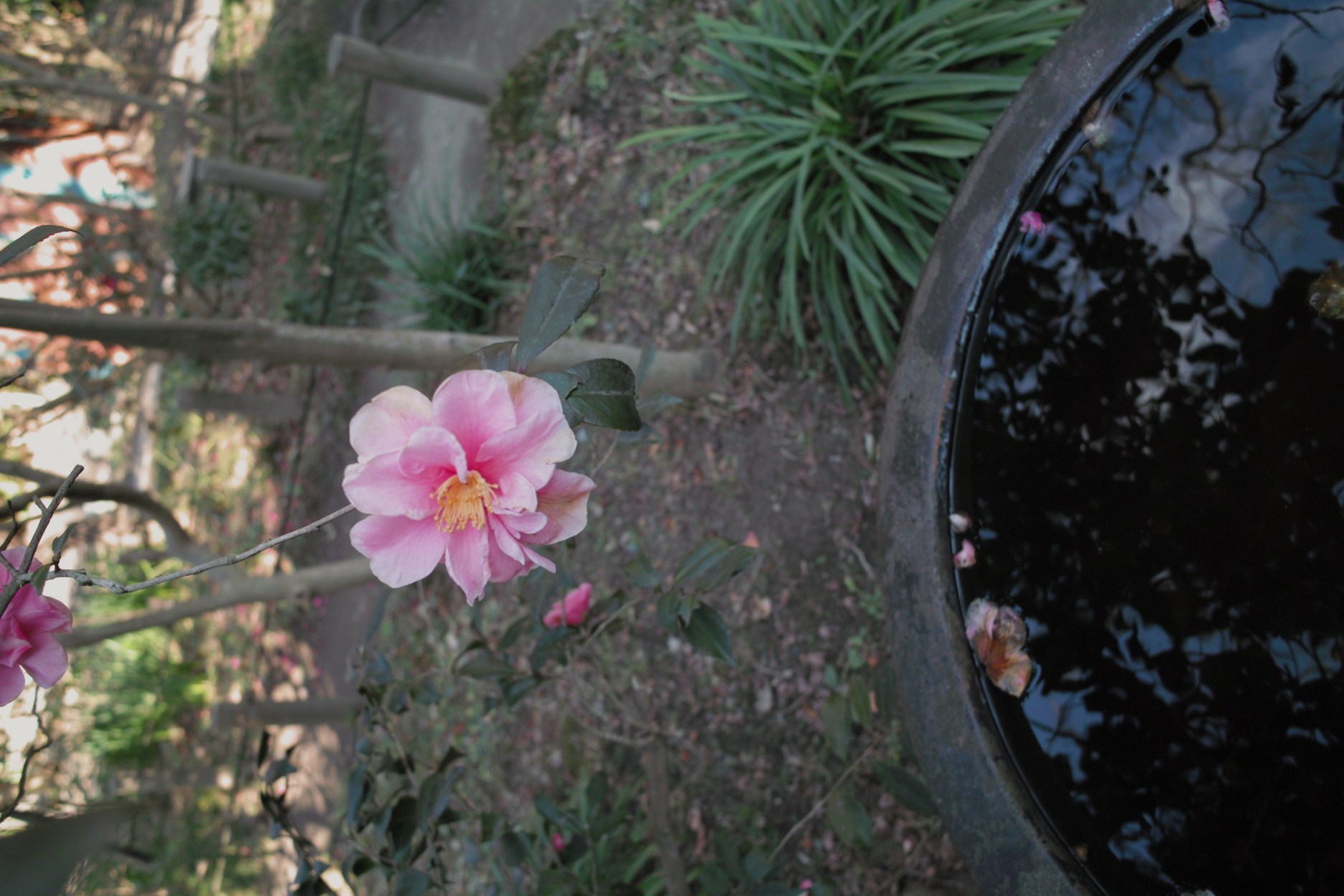b0285619_23272170.jpg