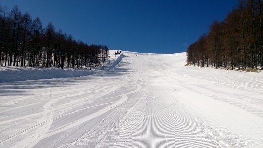 b0001324_22135226.jpg