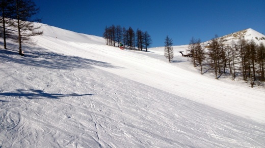 b0001324_22142471.jpg