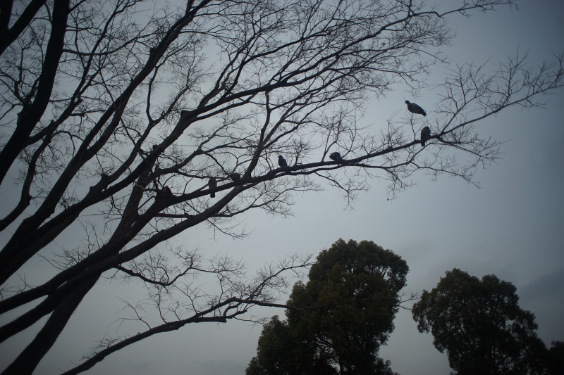 c0109827_1771198.jpg