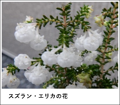 e0033229_1812617.jpg