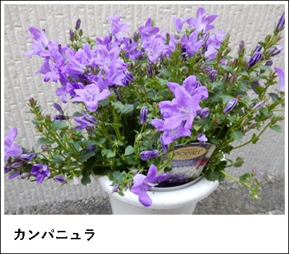 e0033229_18411100.jpg