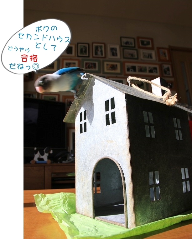 c0145250_10424988.jpg