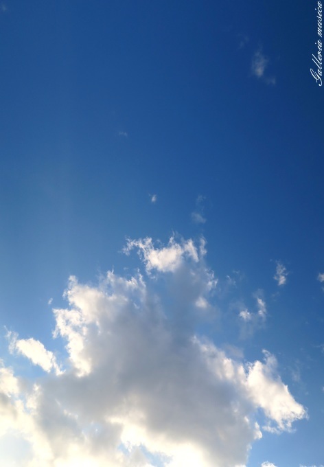f0351853_04382264.jpg