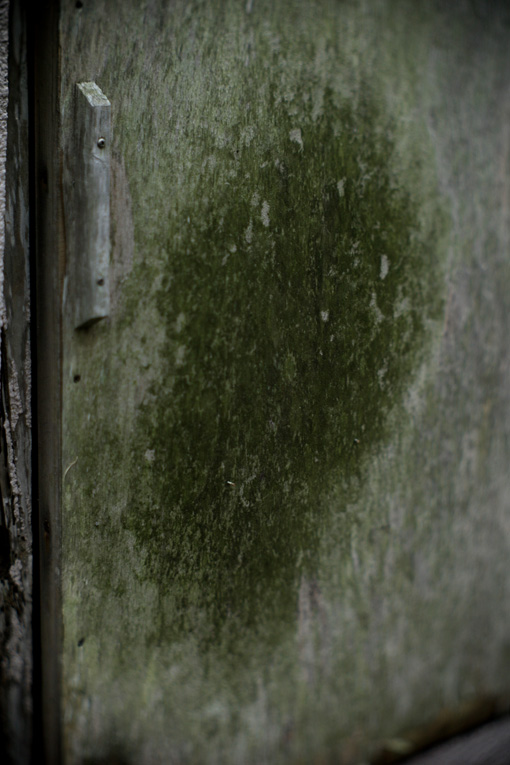 c0168172_22581634.jpg