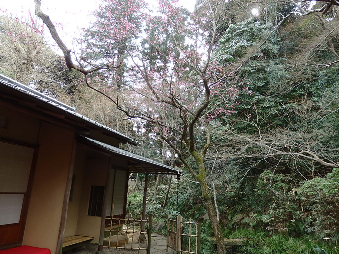 b0197486_16181624.jpg