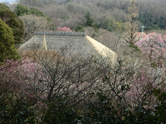 b0197486_16292053.jpg