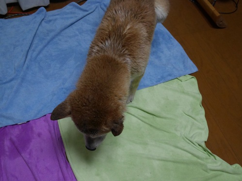 c0123890_20464247.jpg