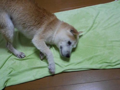 c0123890_2047622.jpg