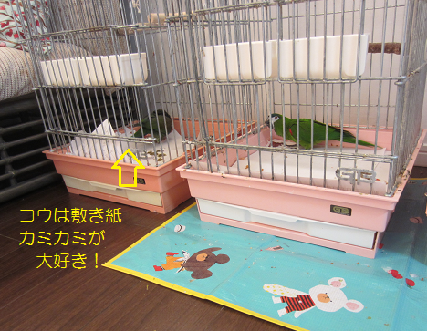 f0234590_9121672.png