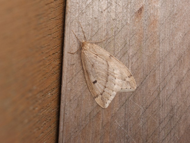 b0194593_2273598.jpg