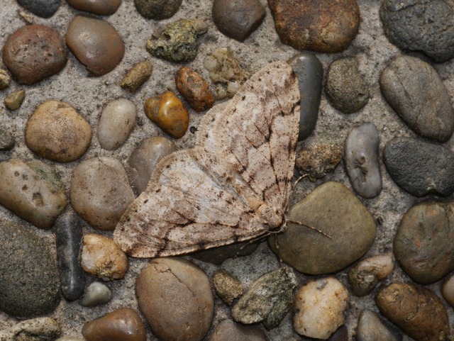 b0194593_2275078.jpg