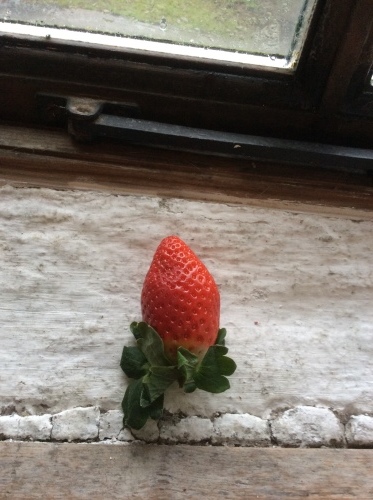 b0110999_00290594.jpeg