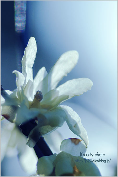 e0008800_18531095.jpg