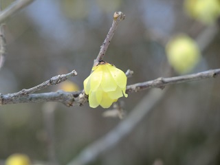 c0015706_16451974.jpg