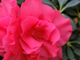 c0015706_16464687.jpg