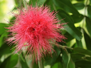 c0015706_1647050.jpg