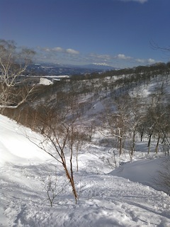 c0359615_21375796.jpg