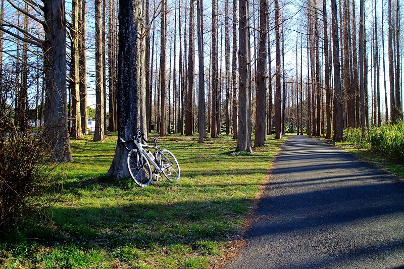 e0341417_20165603.jpg