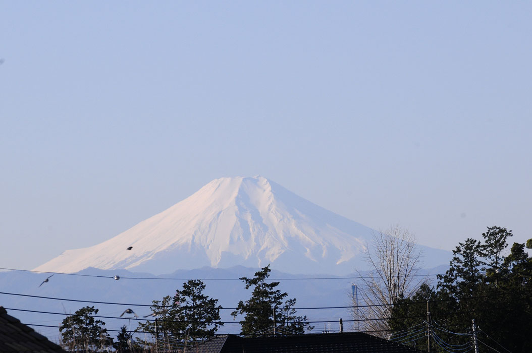 f0206417_17243389.jpg