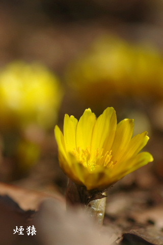 f0212217_16212510.jpg