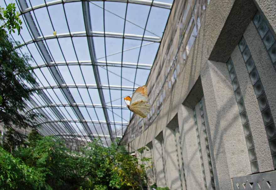 a0126632_14505094.jpg