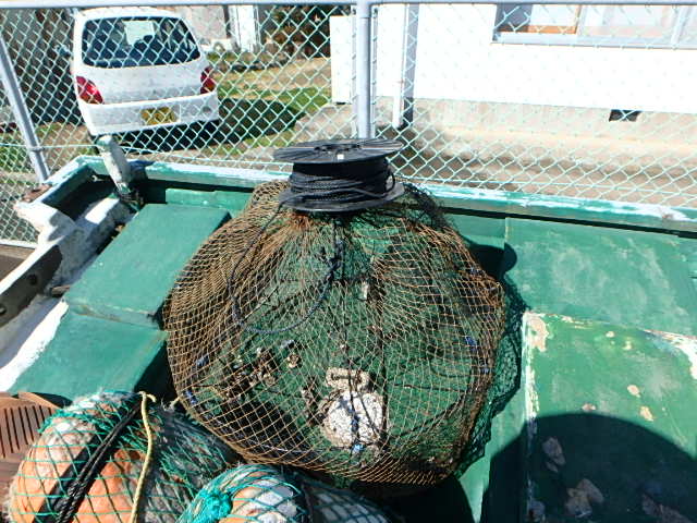 c0183137_16484251.jpg