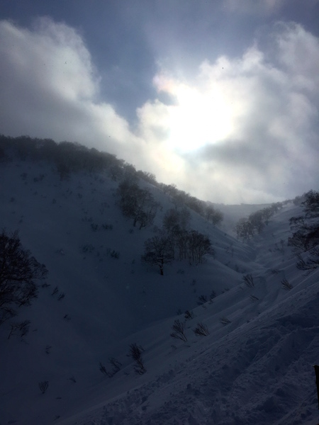d0231339_2039427.jpg